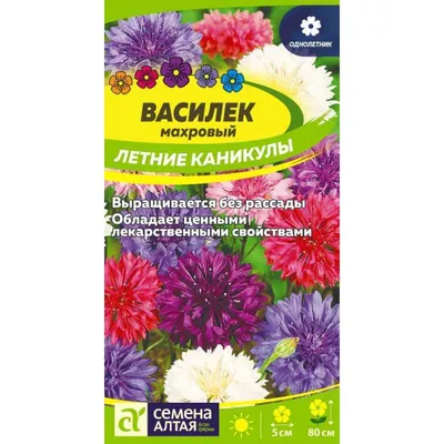 Летние Каникулы Фон С Застежкой-молнией. Вектор. Клипарты, SVG, векторы, и  Набор Иллюстраций Без Оплаты Отчислений. Image 57231257