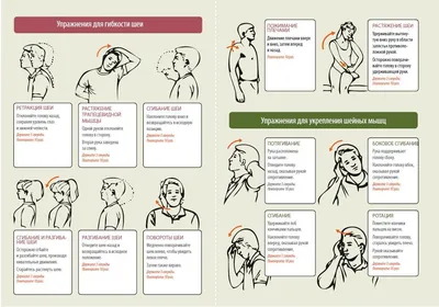 Гимнастика при шейном хондрозе | Гимнастика, Упражнения для шеи, Упражнения