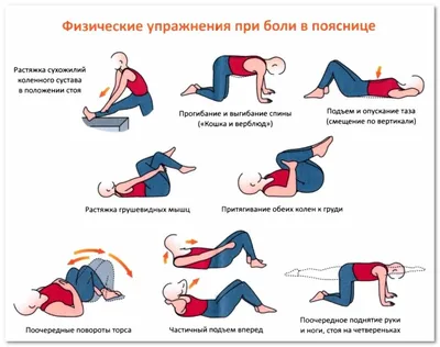 Упражнения при шейном остеохондрозе: лечебная гимнастика, ЛФК и эффективная  зарядка дома