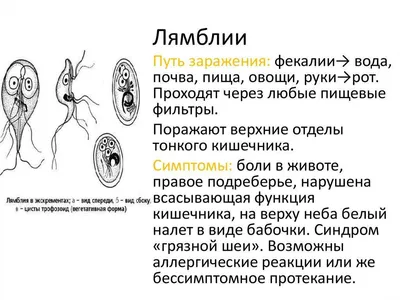 Кожа в которой я живу | Пикабу