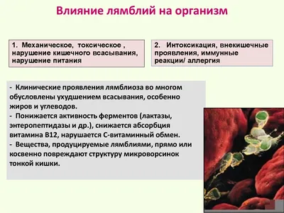 Противопаразитарные средства Бензилбензоат - «Бензилбензонат от демодекоза.  Как избавиться от кожного клеща быстро и дёшево? Бензилбензонат или серная  мазь. Помогает ли от вшей?» | отзывы