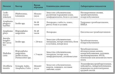 Новости / ФБУЗ Центр гигиены и эпидемиологии в Амурской области