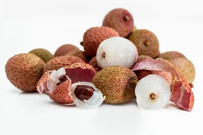 LICHI (THAI) - Annadhatri Agritech Private Limited