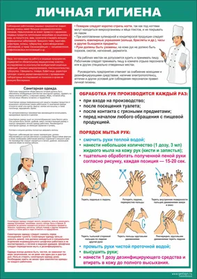 Правила личной гигиены | МАОУ СОШ г. Нестерова имени В. И. Пацаева