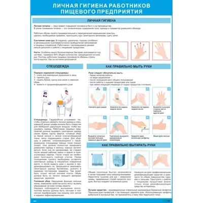 Личная гигиена сотрудников предприятий общепита и пищевых производств |  Ольга Огаркова | Дзен