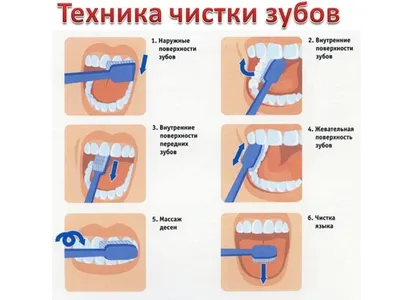 Плакаты Личная гигиена работников пищевого предприятия