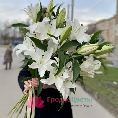 Набор лилии - bloomflowers.pl