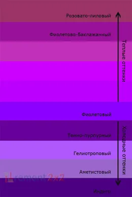 Фиолетовый цвет: психология, значение, особенности и модные сочетания