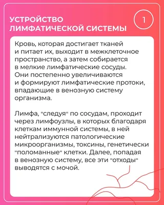 Лимфа — все статьи и новости - Индикатор