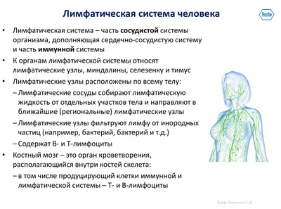 Лимфома Ходжкина у детей: что за болезнь, симптомы, причины, стадии,  лечение, прогноз [мнение онколога]