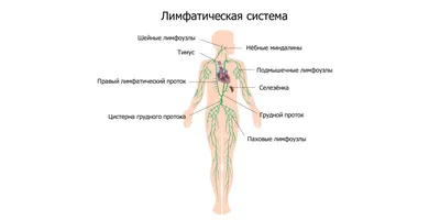 Что такое рак миндалин: стадии развития и факторы риска - Clinics on Call