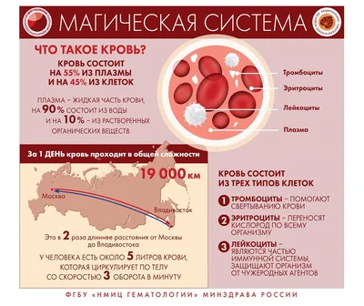 Фолликулярная лимфома проект 2021-2022 | Российский портал онкогематологов