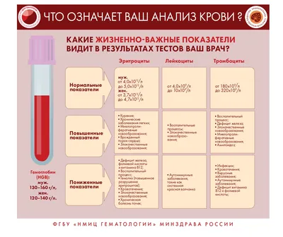 О заболеваниях системы крови