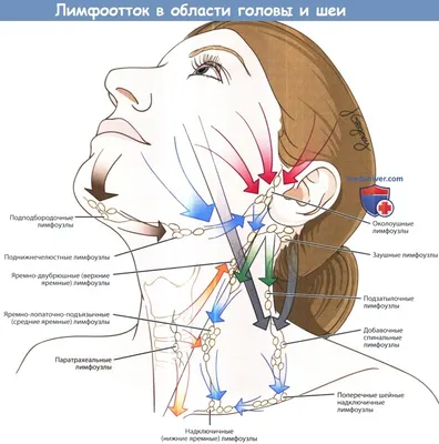 Опухли лимфоузлы на шее | Пикабу