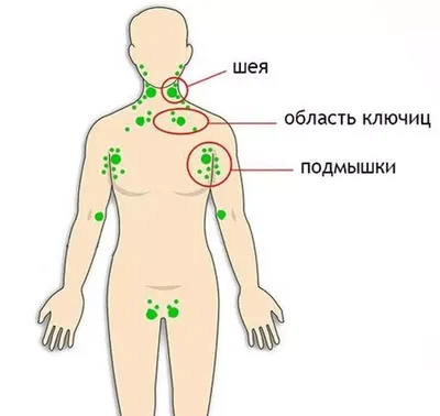 шея человека с напряженной областью, увеличены лимфоузлы на шее фото,  лимфа, анатомия фон картинки и Фото для бесплатной загрузки