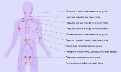 Рак желудка: симптомы, причины, виды, стадии, метастазы, диагностика,  лечение и прогноз выживаемости при онкологии желудка