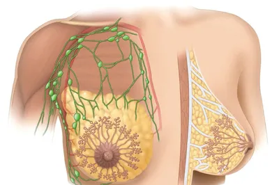 Диагностика и лечение рака кожи в Израиле – обращайтесь сейчас! : Armedical