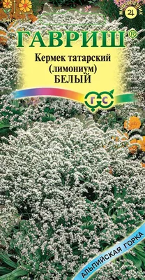 ✓ Семена Лимониум (Кермек татарский) Белый, 0,05г, Гавриш, Альпийская горка  по цене 42 руб. ◈ Большой выбор ◈ Купить по всей России ✓ Интернет-магазин  Гавриш ☎ 8-495-902-77-18