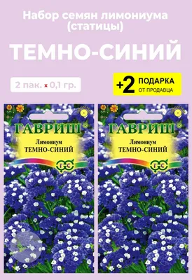 Лимониум (Кермек), Статица Проверенные семена Лимониум4 - купить по  выгодным ценам в интернет-магазине OZON (787828774)