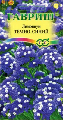 ЛИМОНИУМ СУВОРОВА РОЗОВЫЙ купить с доставкой почтой по РФ, СДЭК курьер,  ПВЗ, почта, цены и фото