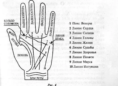 Хиромантия: линии на руке и их значение | Путешествия и туризм | Дзен