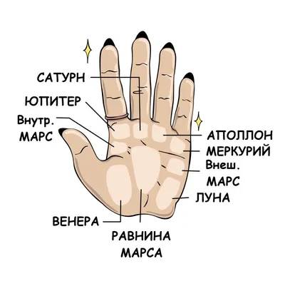 Как гадать линии по руке(Включая линия жизни на руке)?