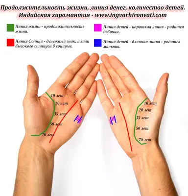 Хиромантия в Китае. Продолжение Линии руки – Расшифровка К основным линиям  на руке относятся: .. | ВКонтакте