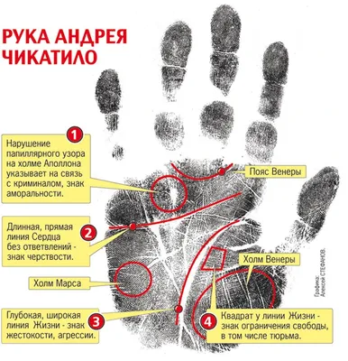 Хиромант объяснила, как предугадать счастливый брак по руке – Москва 24,  29.11.2022