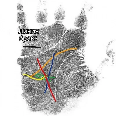 Линия брака (любви) на руке - расшифровка с фото в хиромантии