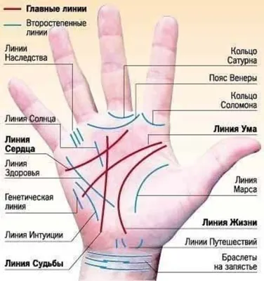 Линия жизни на руке фото с расшифровкой