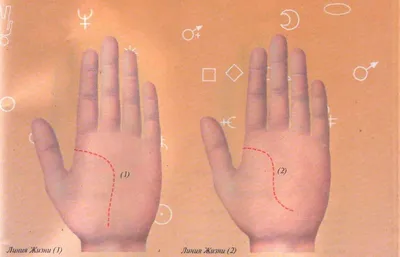 Как гадать по руке: что линии на ладони могут рассказать о вашей судьбе