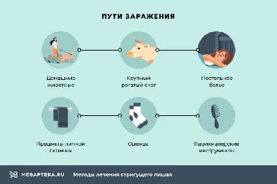 Разноцветный лишай! А всегда ли ЛИШАЙ - это заразно? | Дерматолог Ирина  Тимачева | Дзен