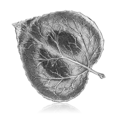 Осина: как выглядит дерево, листья, кора в народной медицине, лечебные  свойства, противопоказания, применение, фото