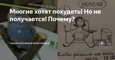 Многие хотят похудеть! Но не получается! Почему? | Мысли и по волне моей  памяти | Дзен