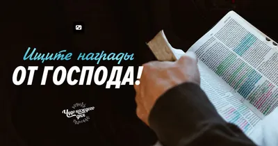 Цитаты про лицемерие двуличие | Цитаты про страх, Цитаты про море, Мудрые  цитаты