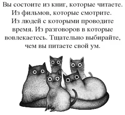 Любовь это… ❤️ … придумывать для них смешные картинки, искать оригинальные  сиропы для газировки, делать молочные коктейли на советском… | Instagram