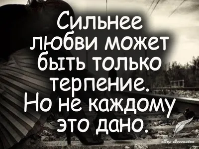 Наука любви. Любовные элегии. Миниатюрное издание. Овидий Назон Публий -  купить в книжном интернет-магазине «Москва»