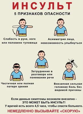 В ТГУ смогли «вживую» увидеть, как организм лечит мозг после инсульта