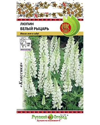 Все о люпинах: сорта, посадка, размножение | В цветнике (Огород.ru)