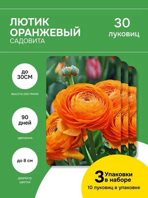 Лютик ядовитый из фоамирана – купить в интернет-магазине HobbyPortal.ru с  доставкой