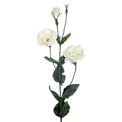 Лизиантус (Эустома) крупноцветковый (Lisianthus grandiflorum)