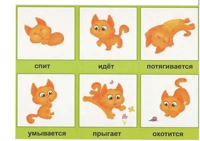 Карточки Айрис ПРЕСС Логопедия 6 Звуки Р и Рь Тренируем произношение купить  по цене 190 ₽ в интернет-магазине Детский мир