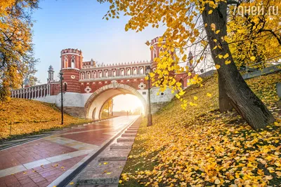 3 лучших места для Свадебной прогулки осенью и зимой в Москве