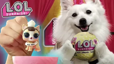 LOL Pets Surprise Brand New Lol Dolls Eye Spy Series | eBay