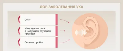 Лизоприм ЛОР таблетки №50 цена от 206 руб. купить в аптеках Апрель,  инструкция по применению