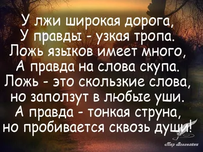 Идеальная ложь»: хороший французский триллер о политике, нечаянном убийстве  – и о том, как важно уметь лгать - Ведомости.Город