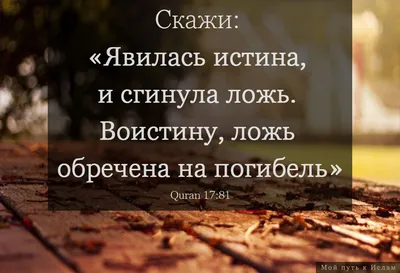 Рисале-и Нур on X: \"#ислам #мусульманин #религия #вера #толкование #Коран  #истина #книга #Бадиуззаман #СаидНурси #РисалеиНур #bediüzzaman #saidnursi  #risaleinur #twitter https://t.co/xWGsyIbDF2\" / X