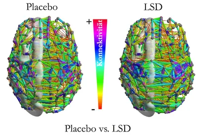 Gen Z Discovers LSD, and Other Science News | Columbia Magazine