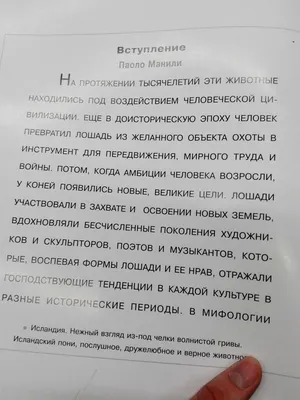 Прокат на территории в Уфе - опытные инструктора, лучшие лошади, низкая  цена, онлайн запись!