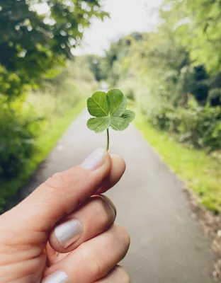 Are you feeling lucky? New study reveals the top charms people believe  bring them luck | The Independent